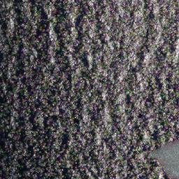 Satellite imagery of Bibinlayan Point, PH