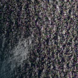 Satellite imagery of Bibinlayan Point, PH