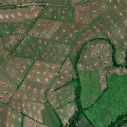 Satellite imagery of Purok-5 Boundary to Purok-6 Crossroads, PH