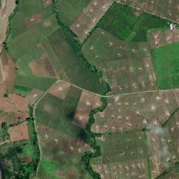 Satellite imagery of Purok-5 Boundary to Purok-6 Crossroads, PH