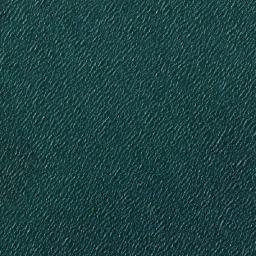 Satellite imagery of Punta Manzanillo, VE