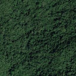 Satellite imagery of Tree Cliff, PH