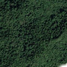 Satellite imagery of Tree Cliff, PH