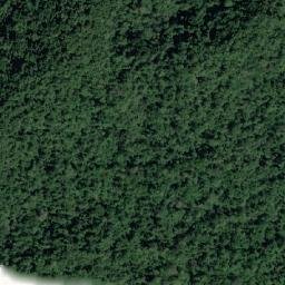 Satellite imagery of Tree Cliff, PH