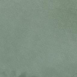 Satellite imagery of Lasang Point, PH