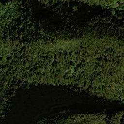 Satellite imagery of Cerro Pintado, CO