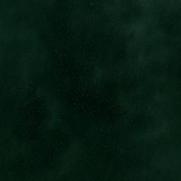 Satellite imagery of Punta Garrapata, VE