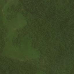 Satellite imagery of Cerro de la Puya, CO