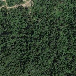 Satellite imagery of Willingdon Point, MM