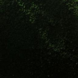 Satellite imagery of Cerro Rizado, CO