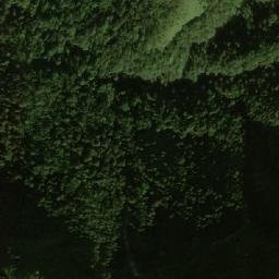 Satellite imagery of Cerro Buenavista, CO