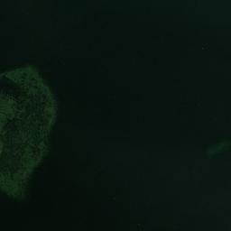 Satellite imagery of Campoyo Point, PH