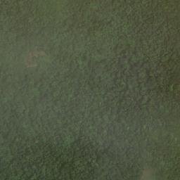 Satellite imagery of Cuchilla El Triunfo, CO