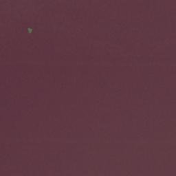 Satellite imagery of Punta Palizada, VE