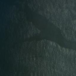 Satellite imagery of Rocky Point, PH