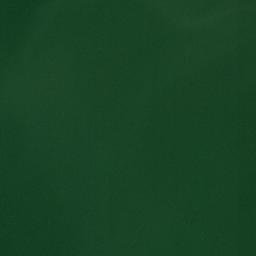 Satellite imagery of Punta del Muerto, CO