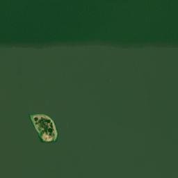 Satellite imagery of Punta del Muerto, CO