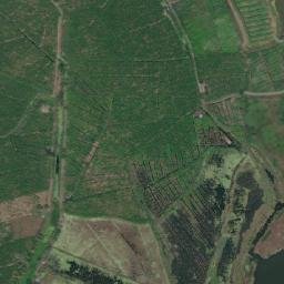 Satellite imagery of Punta Garcitas, VE
