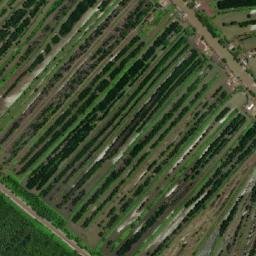 Satellite imagery of Mũi Bà Quan, VN