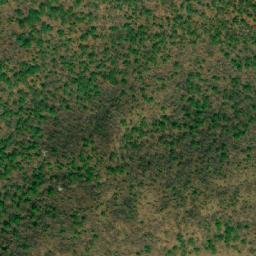 Satellite imagery of Djala, CF
