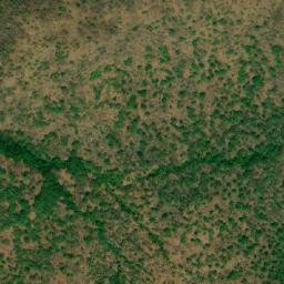 Satellite imagery of Djala, CF