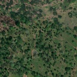 Satellite imagery of Alto de Las Avispas, CO