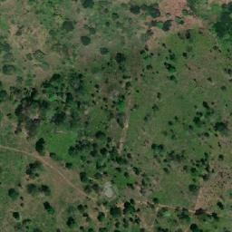 Satellite imagery of Alto de Las Avispas, CO