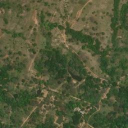 Satellite imagery of Alto Buey Pelado, CO