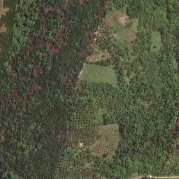 Satellite imagery of Muslog Point, PH