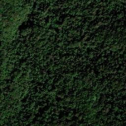 Satellite imagery of Cerro el Oso, CO