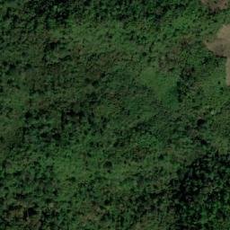Satellite imagery of Cerro el Oso, CO