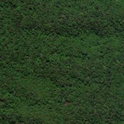 Satellite imagery of Cuchilla de Banderas, CO