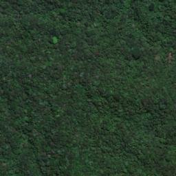Satellite imagery of Alto El Gallo, CO
