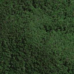 Satellite imagery of Cuchilla de Banderas, CO