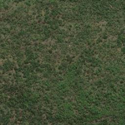 Satellite imagery of Bitiki, CM