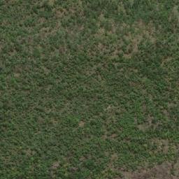 Satellite imagery of Bitiki, CM
