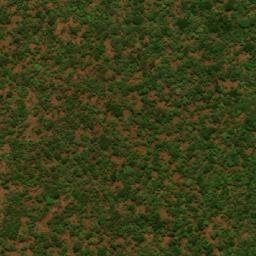 Satellite imagery of Kaga Mara, CF