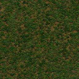 Satellite imagery of Kaga Mara, CF