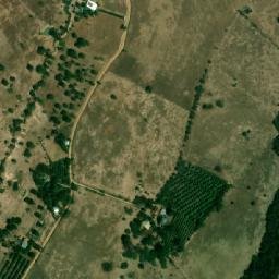 Satellite imagery of Cerro La Virgen, CO
