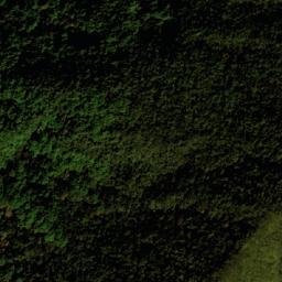 Satellite imagery of Alto del Venado, CO