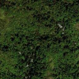 Satellite imagery of Alto del Venado, CO