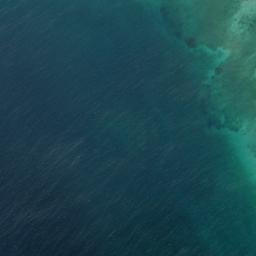 Satellite imagery of Morrel Point, IN