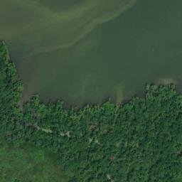 Satellite imagery of Punta Coquito, CO