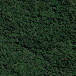 Satellite imagery of Cerro Guamoco, CO