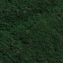 Satellite imagery of Cerro Guamoco, CO