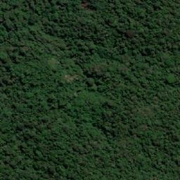 Satellite imagery of Cerro Guamoco, CO