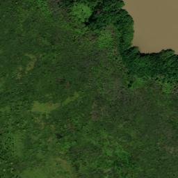 Satellite imagery of Corkwood Point, GY
