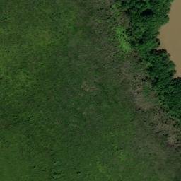 Satellite imagery of Corkwood Point, GY