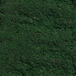 Satellite imagery of Cuchilla de Guamoco, CO