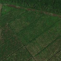 Satellite imagery of Pomeroon Point, GY